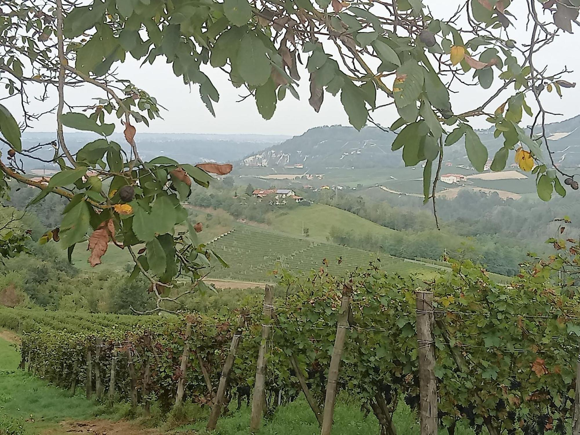 Agriturismo Bric Di Gai Monforte D'Alba Luaran gambar