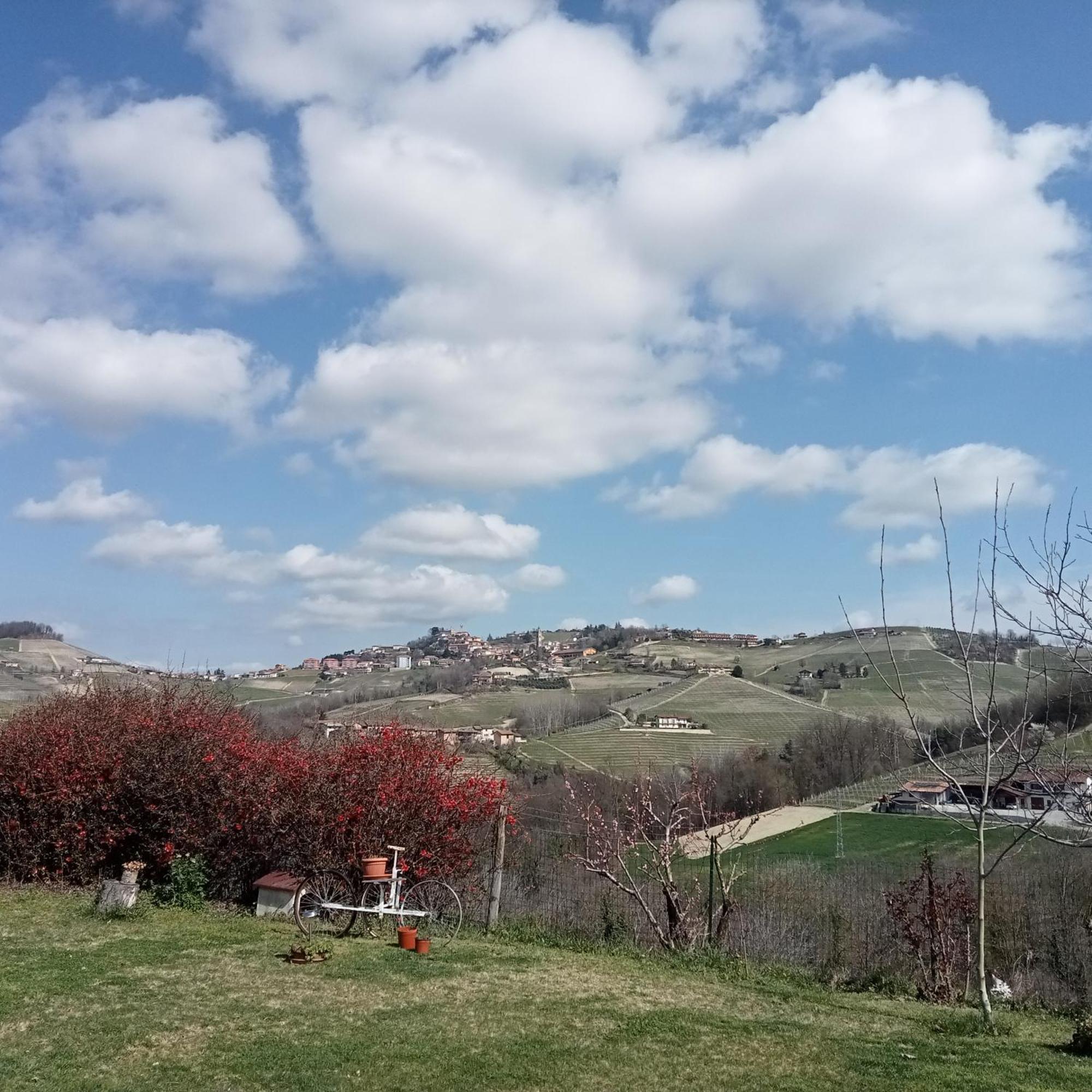 Agriturismo Bric Di Gai Monforte D'Alba Bilik gambar