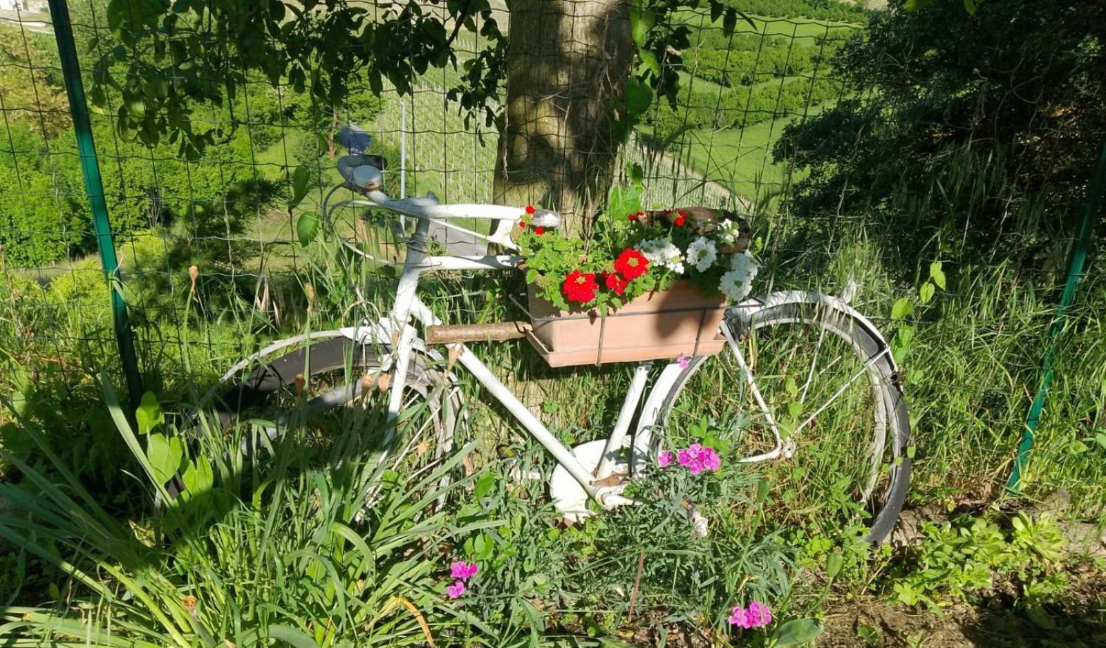 Agriturismo Bric Di Gai Monforte D'Alba Luaran gambar