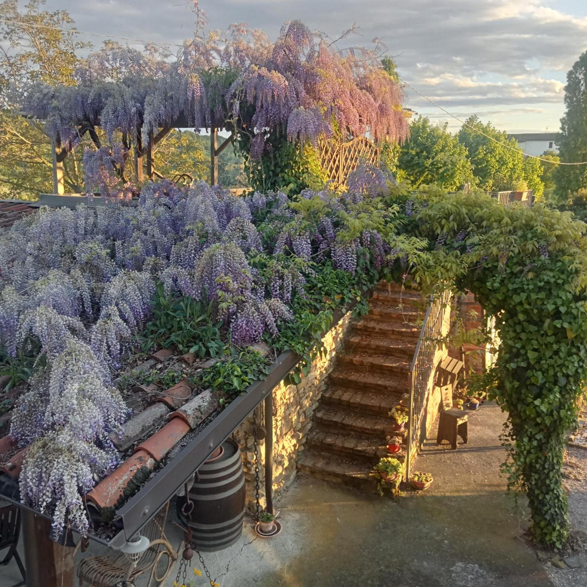 Agriturismo Bric Di Gai Monforte D'Alba Luaran gambar